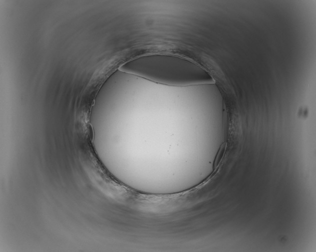 X0000114080045200910051011