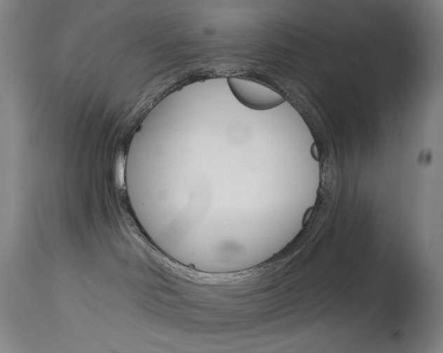 X0000114080046200910051011