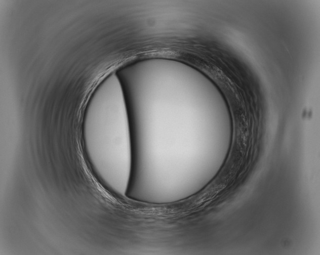 X0000114080049200910051010