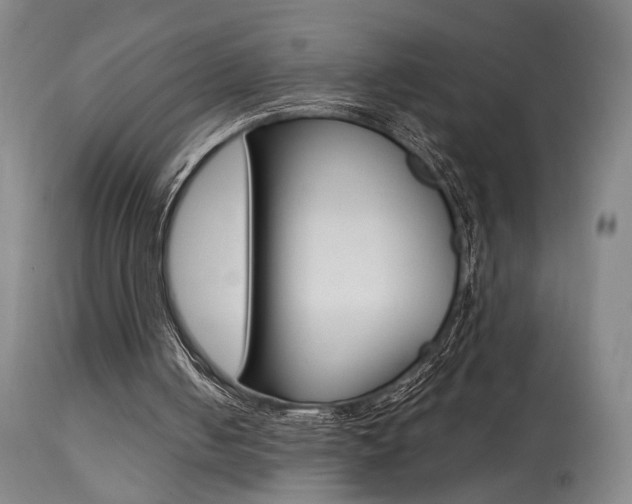 X0000114080050200910051010