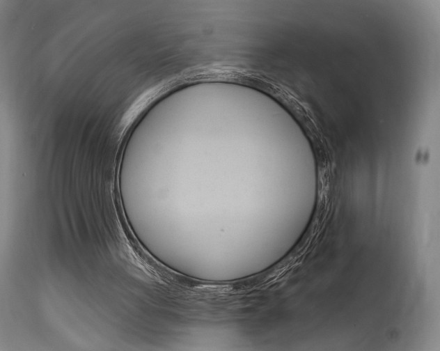 X0000114080051200910051010