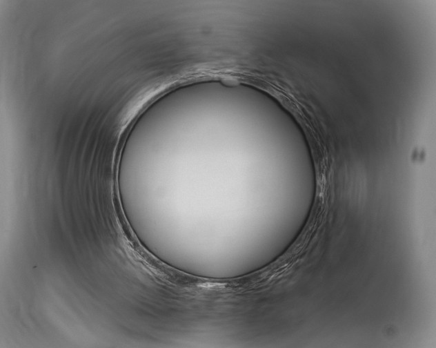 X0000114080052200910051010