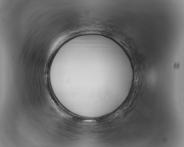 X0000114080053200910051010