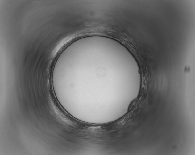 X0000114080054200910051011