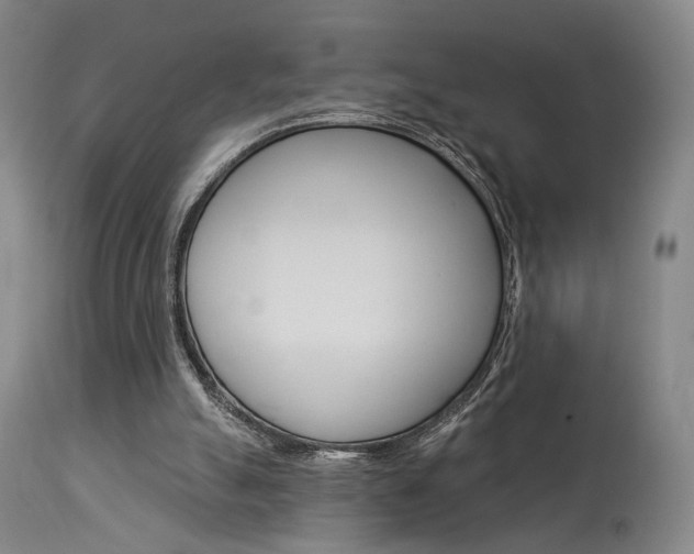 X0000114080055200910051011