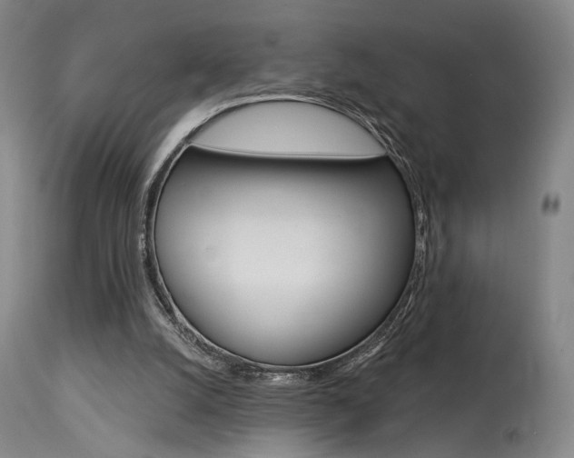 X0000114080056200910051011