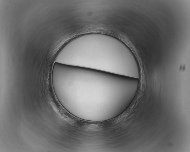 X0000114080058200910051011