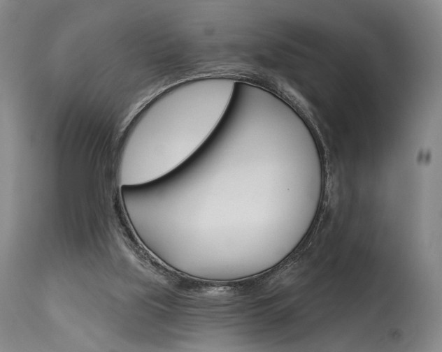 X0000114080059200910051011