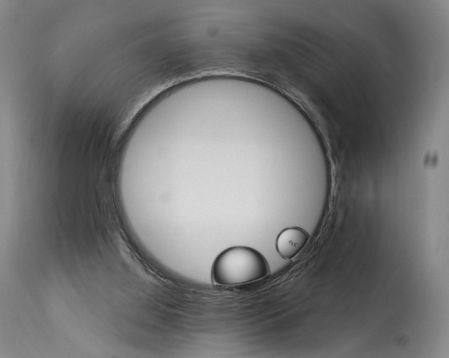 X0000114080060200910051011