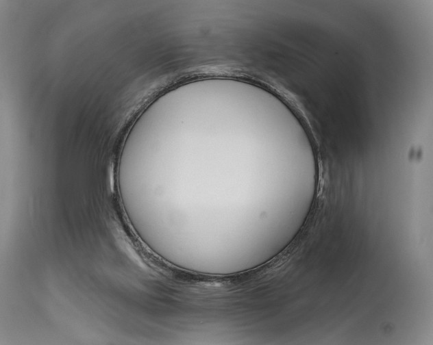 X0000114080061200910051011