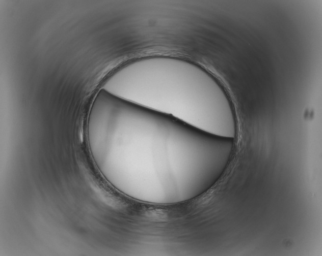 X0000114080062200910051011