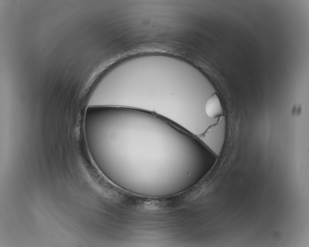 X0000114080064200910051011