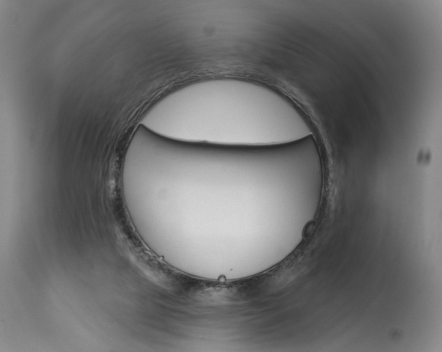 X0000114080065200910051011