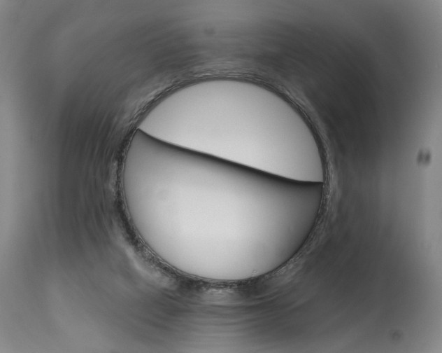 X0000114080066200910051011