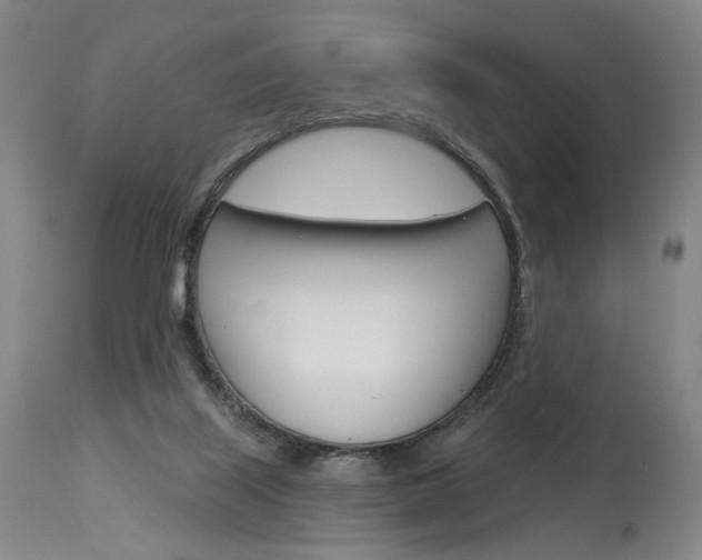 X0000114080067200910051011