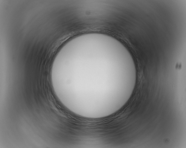 X0000114080068200910051011