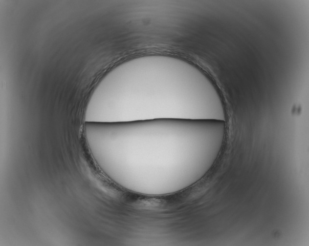 X0000114080069200910051011