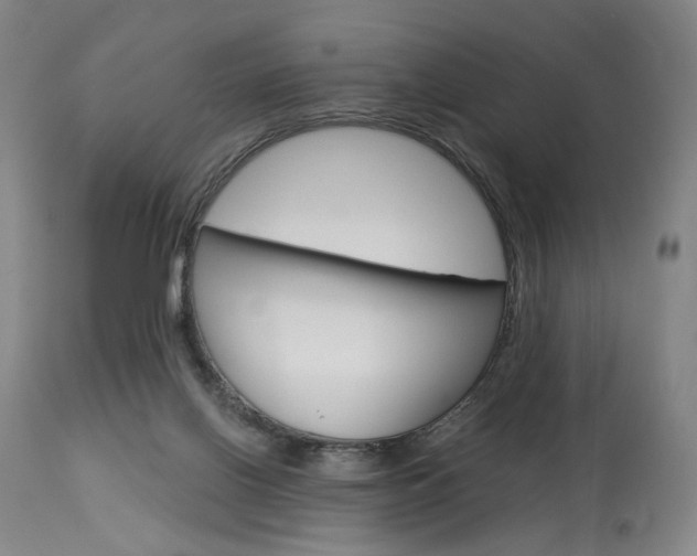 X0000114080070200910051011