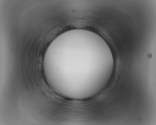 X0000114080073200910051011