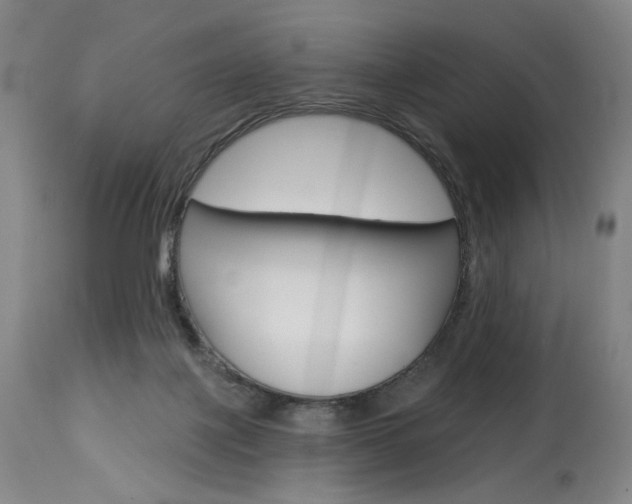 X0000114080075200910051011