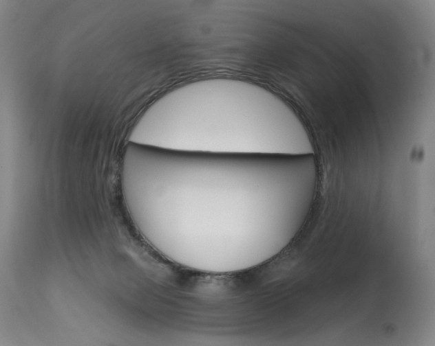 X0000114080077200910051011