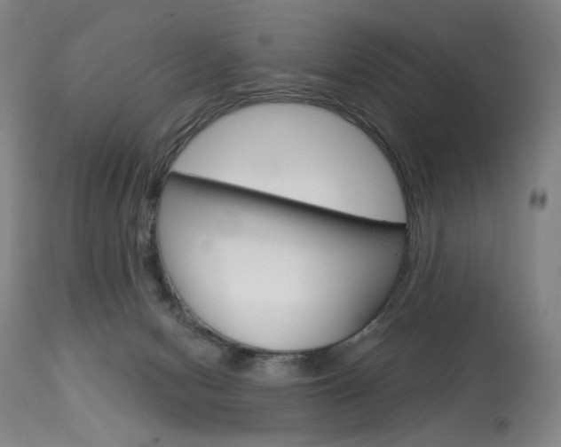 X0000114080078200910051011