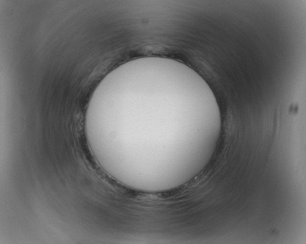 X0000114080079200910051011