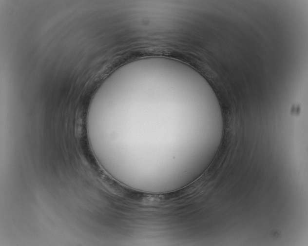 X0000114080080200910051011