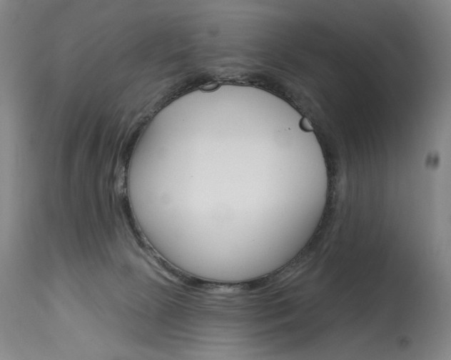 X0000114080081200910051011