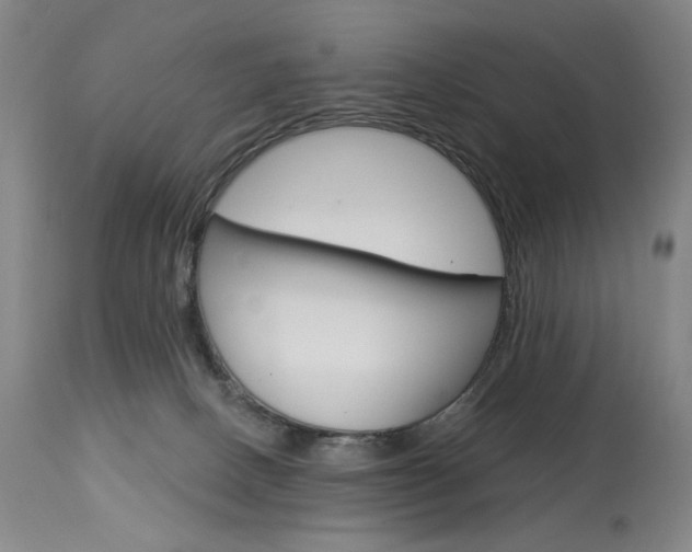 X0000114080082200910051011