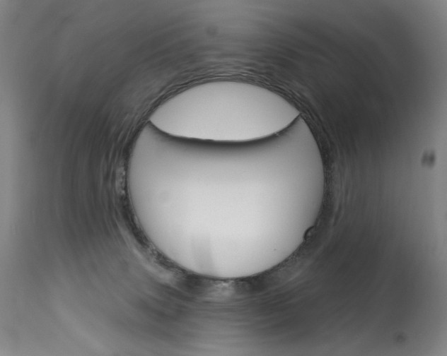 X0000114080083200910051011