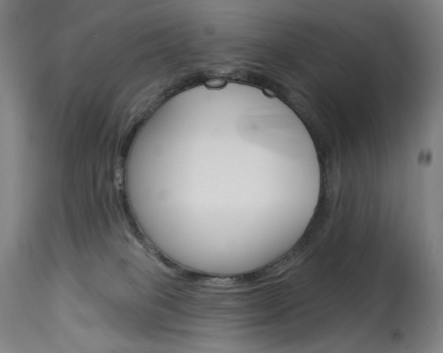 X0000114080085200910051011