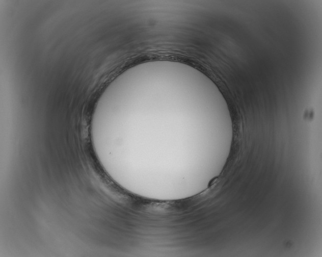 X0000114080086200910051011