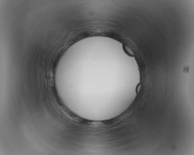 X0000114080087200910051011