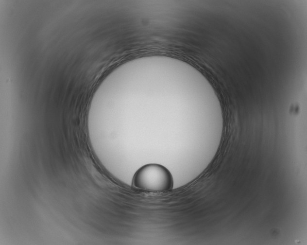 X0000114080088200910051011