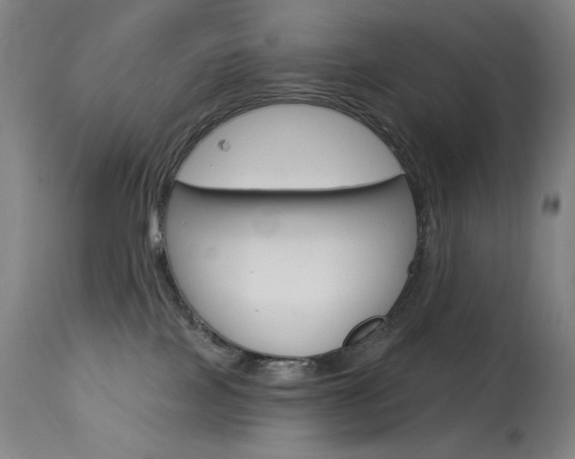 X0000114080089200910051011