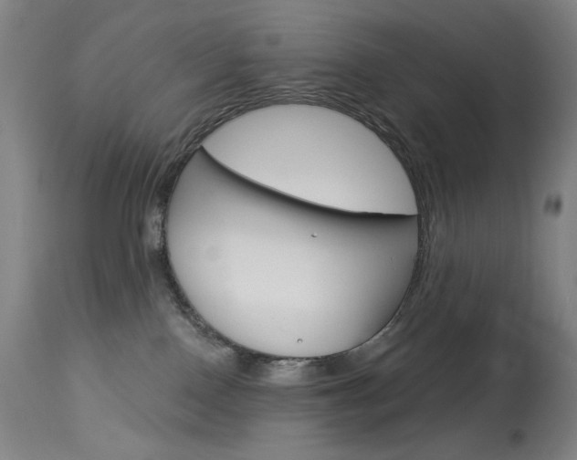 X0000114080090200910051011