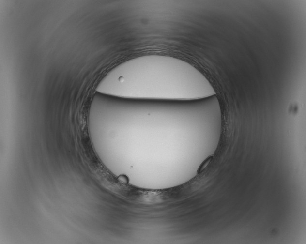 X0000114080091200910051011