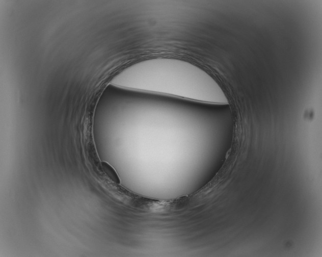 X0000114080092200910051011