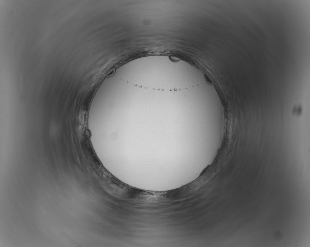 X0000114080093200910051011