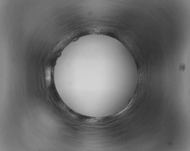 X0000114080094200910051011