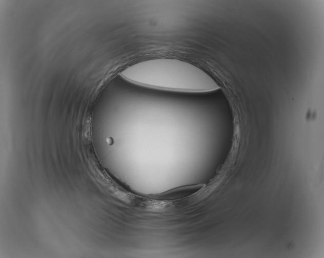 X0000114080096200910051011