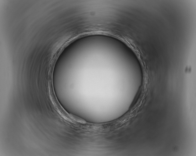 X0000114080097200910051010