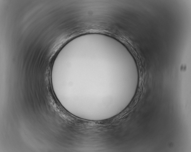 X0000114080098200910051010