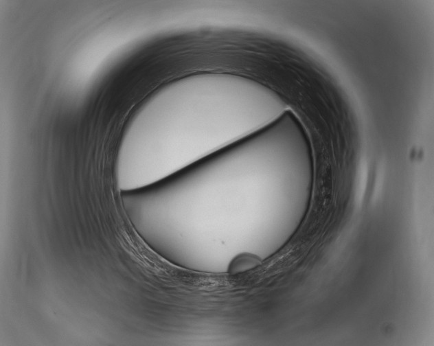 X0000114080099200910051010