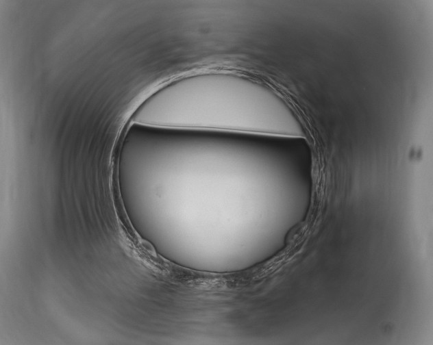 X0000114080100200910051010