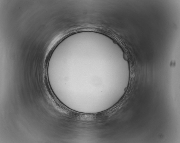 X0000114080102200910051010