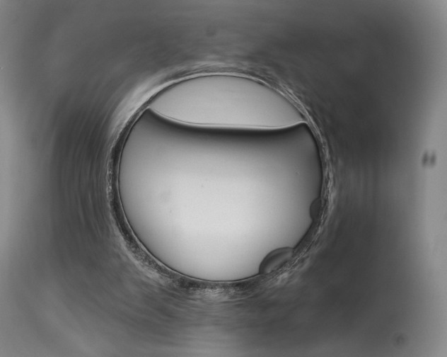 X0000114080103200910051010