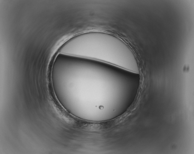 X0000114080104200910051010