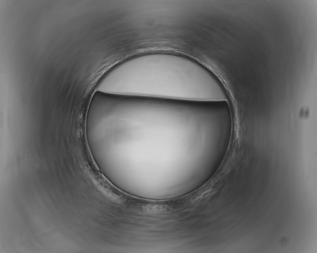 X0000114080105200910051010